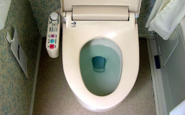 В Японии открылся туалет-музей 
